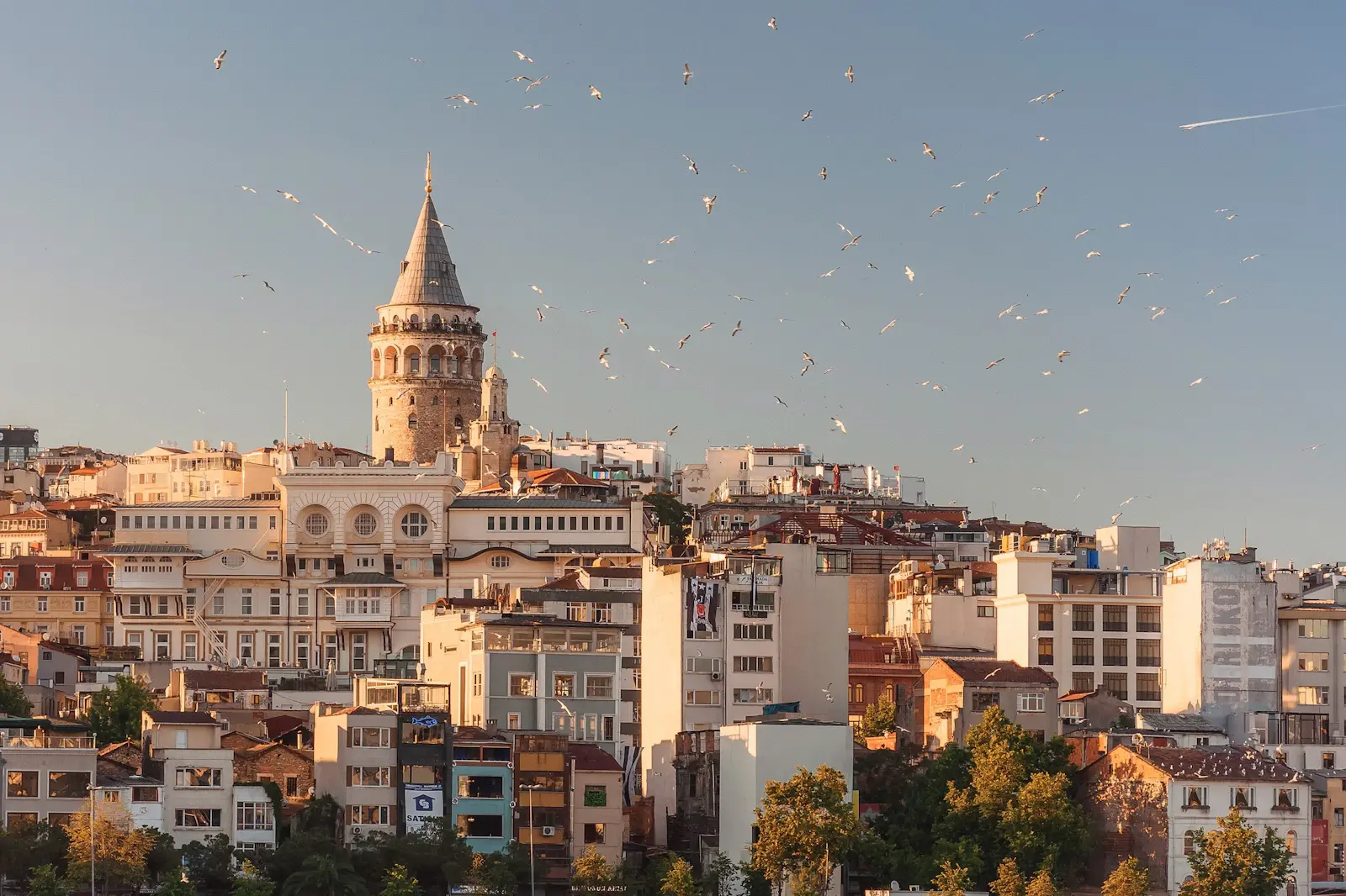İstanbul Ofisi